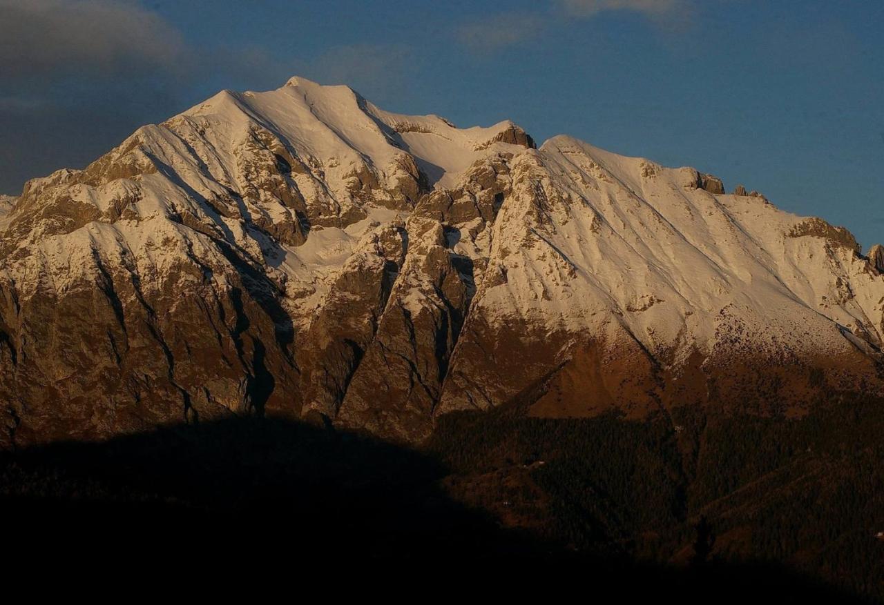 Bed and Breakfast Catif Ladru Cerveno Екстер'єр фото